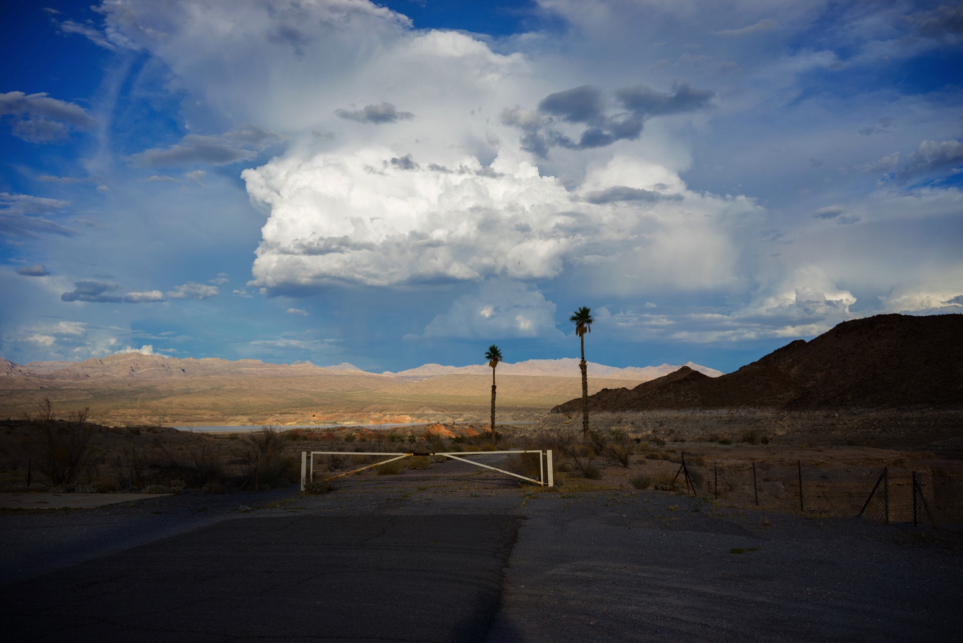 western photo peter harris