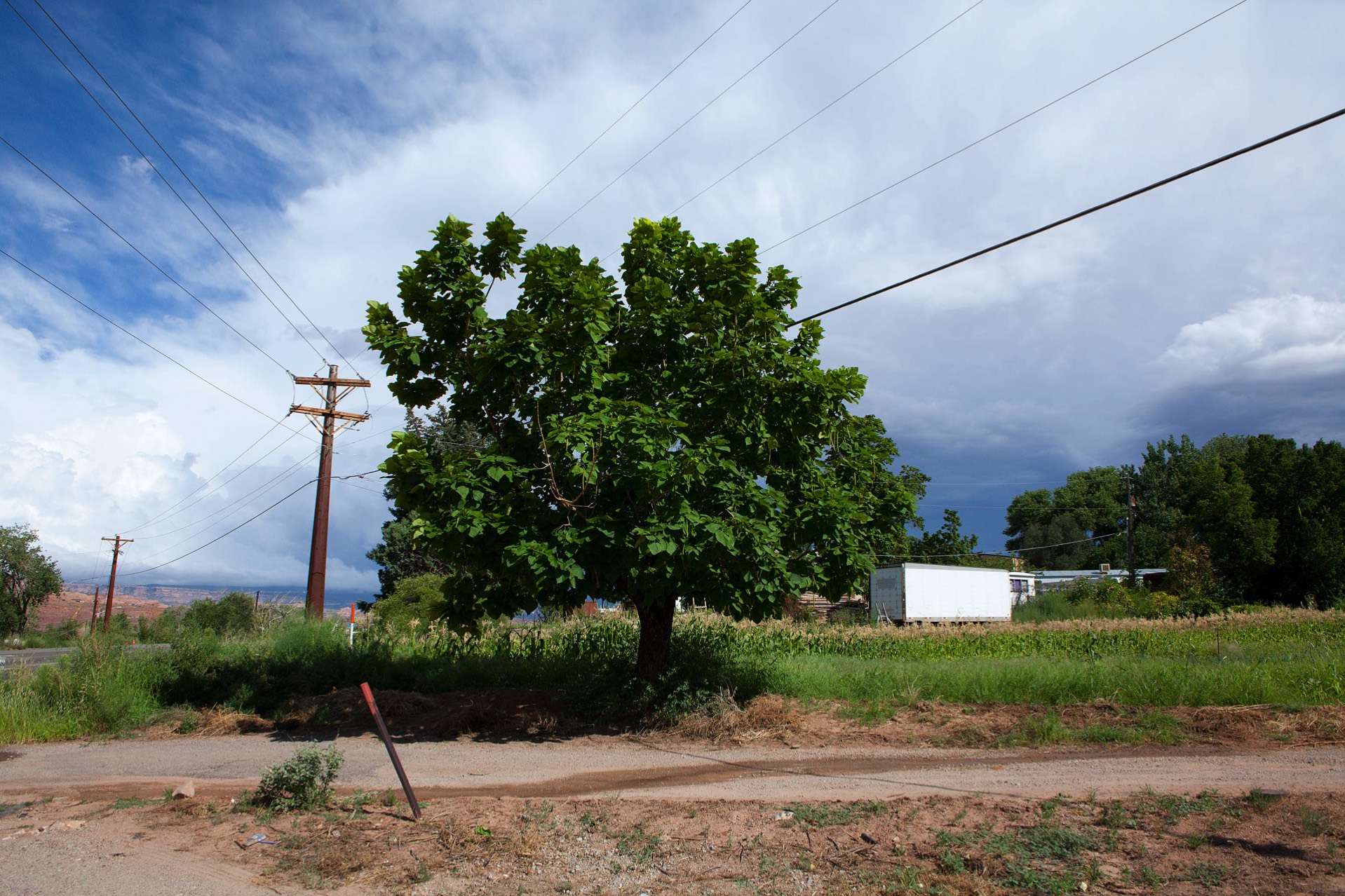 western photo peter harris